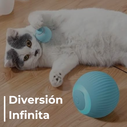 Pelota Eléctrica Inteligente para Gatos - 50% OFF