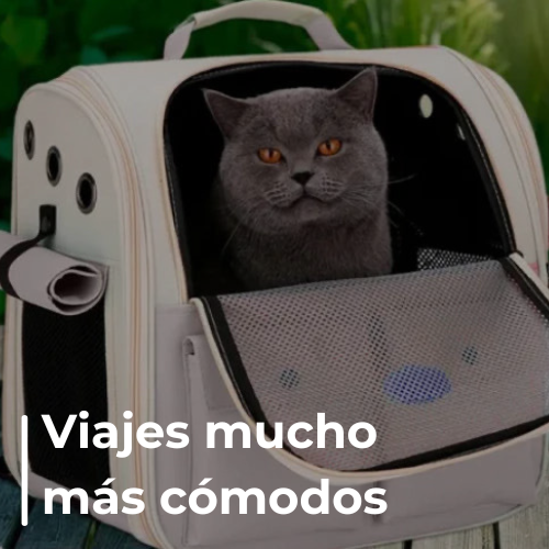 Mochila Transportadora Gato Y Perro Extensible Plegable - Envío Gratis