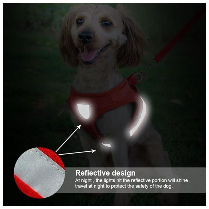 Arnés con Correa Reflectante y Transpirable para Perros - Envío Gratis