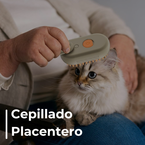 Cepillo de vapor para eliminar pelos – Envío Gratis