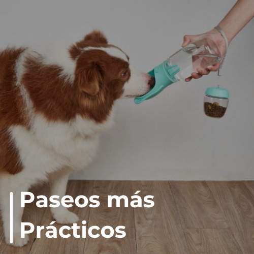 Dispenser Botella de Agua y Comida para Mascotas - Envío Gratis