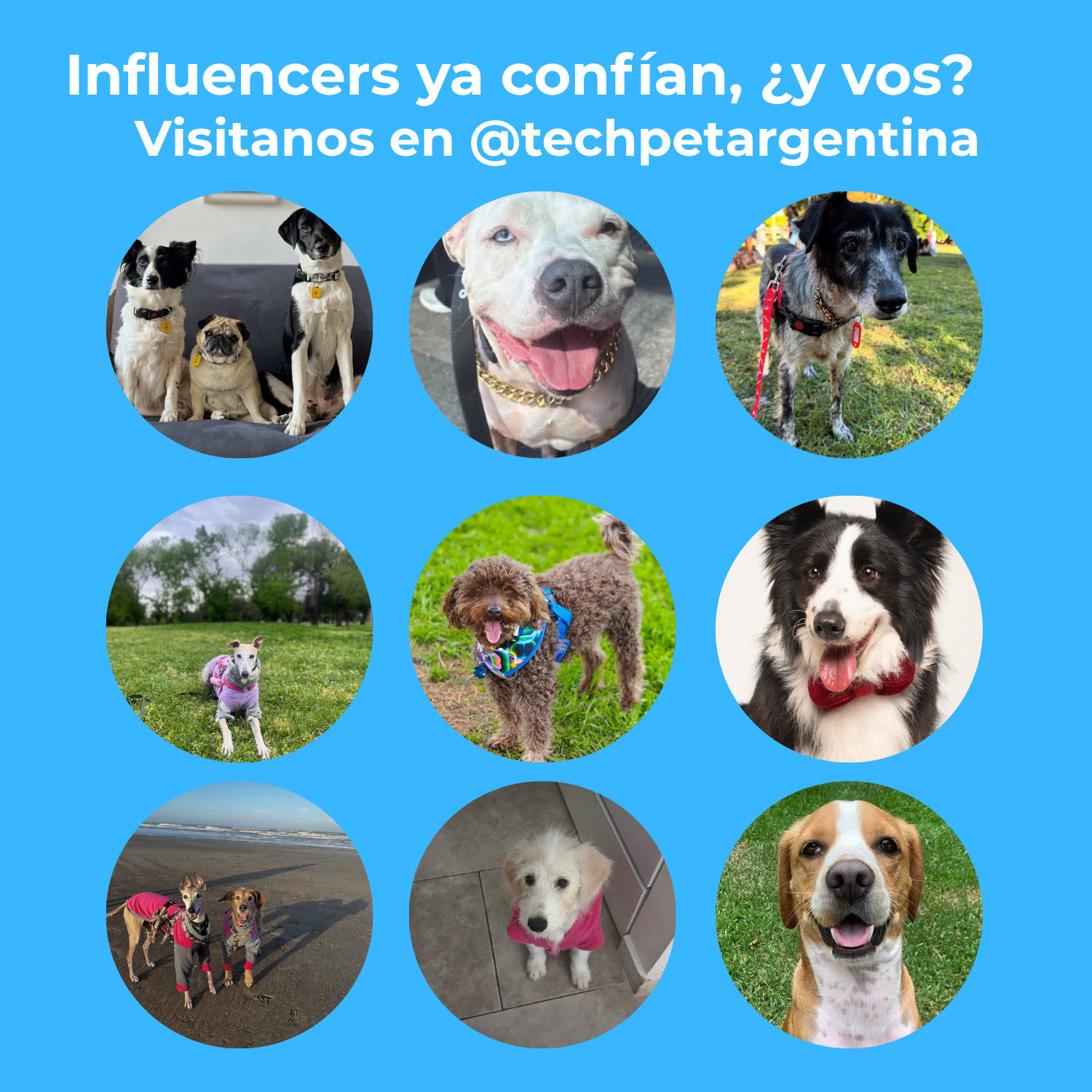 Guante Saca Pelos TechPet - 50% OFF y Envío Gratis