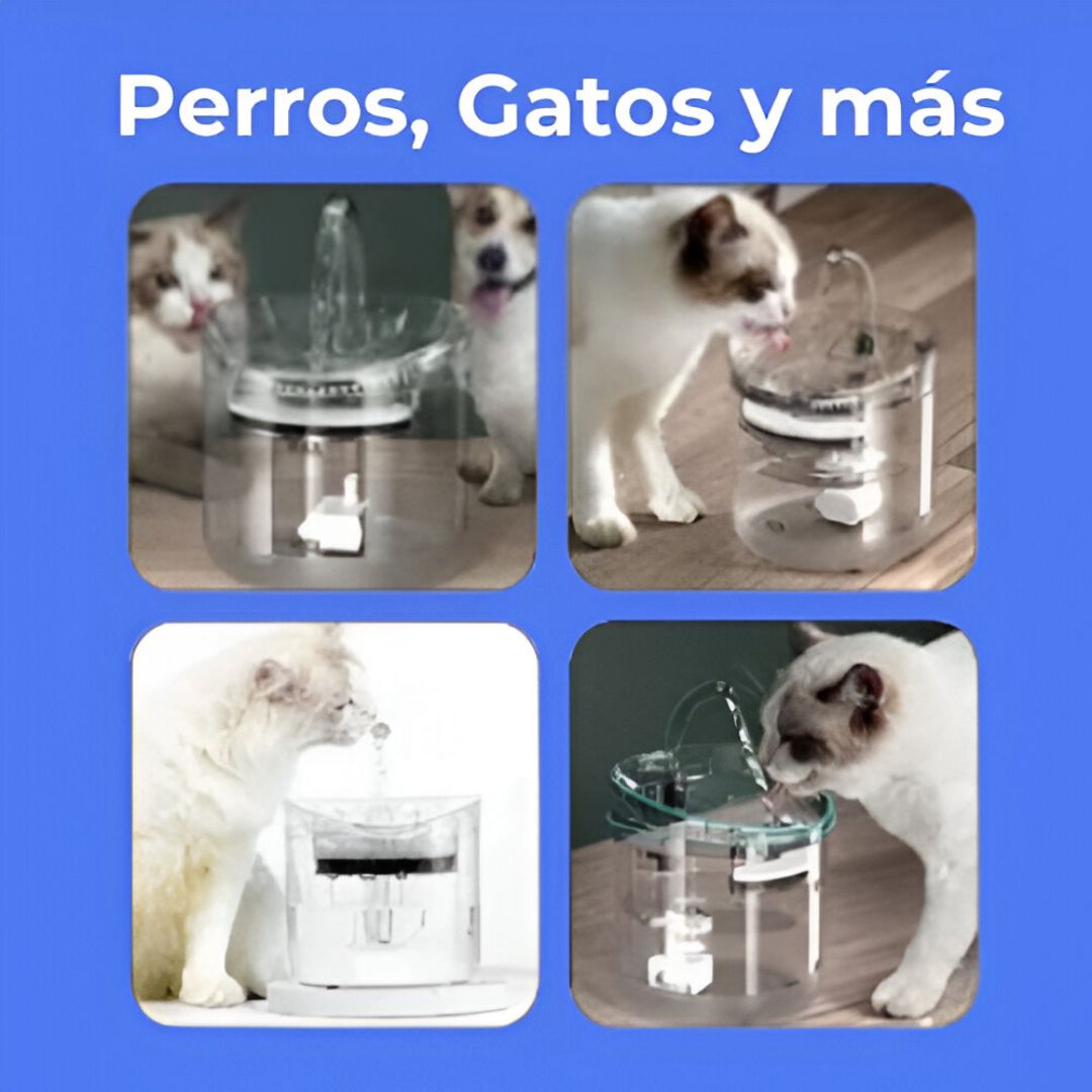 Fuente de Agua con Filtro Ultra Eficiente  – Envío Gratis a todo el país