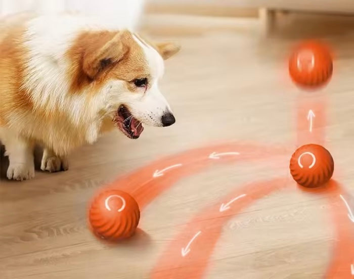 Pelota Eléctrica Inteligente para Gatos - 50% OFF