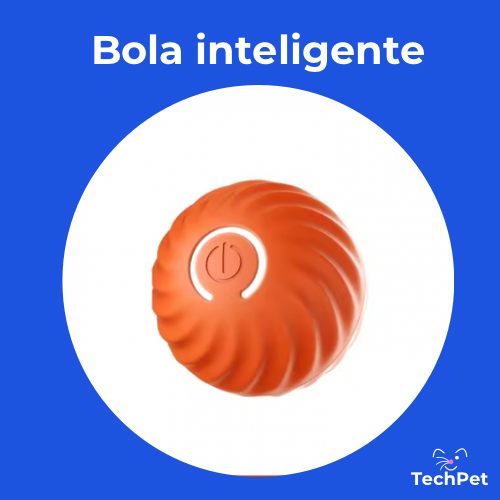 Pelota Eléctrica Inteligente para Gatos - 50% OFF