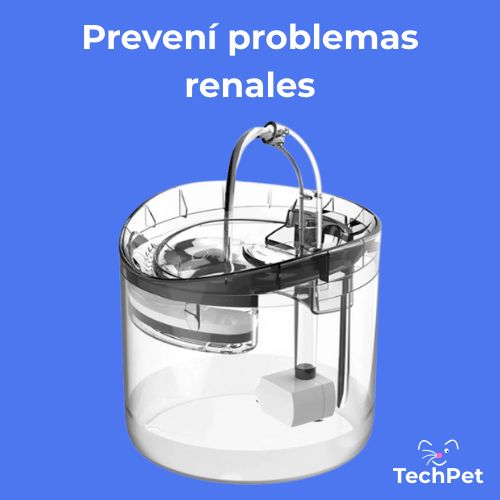 Fuente de Agua con Filtro Ultra Eficiente  – Envío Gratis a todo el país