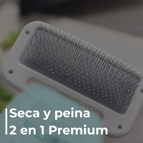 Cepillo Secador Quita Pelos Última Tecnología - Envío Gratis