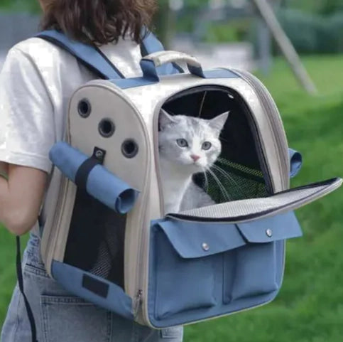 Mochila Transportadora Gato Y Perro Extensible Plegable - Envío Gratis