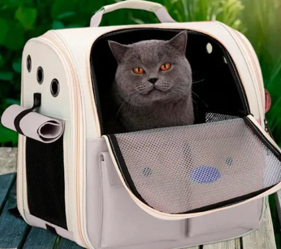Mochila Transportadora Gato Y Perro Extensible Plegable - Envío Gratis