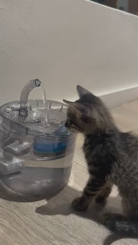 Fuente de Agua con Filtro Ultra Eficiente  – Envío Gratis a todo el país