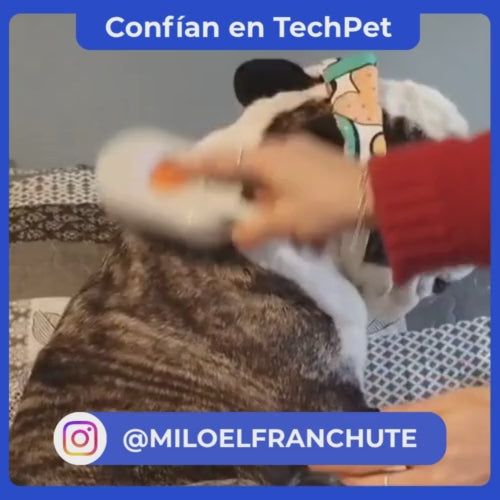 Cepillo de vapor para eliminar pelos – Envío Gratis
