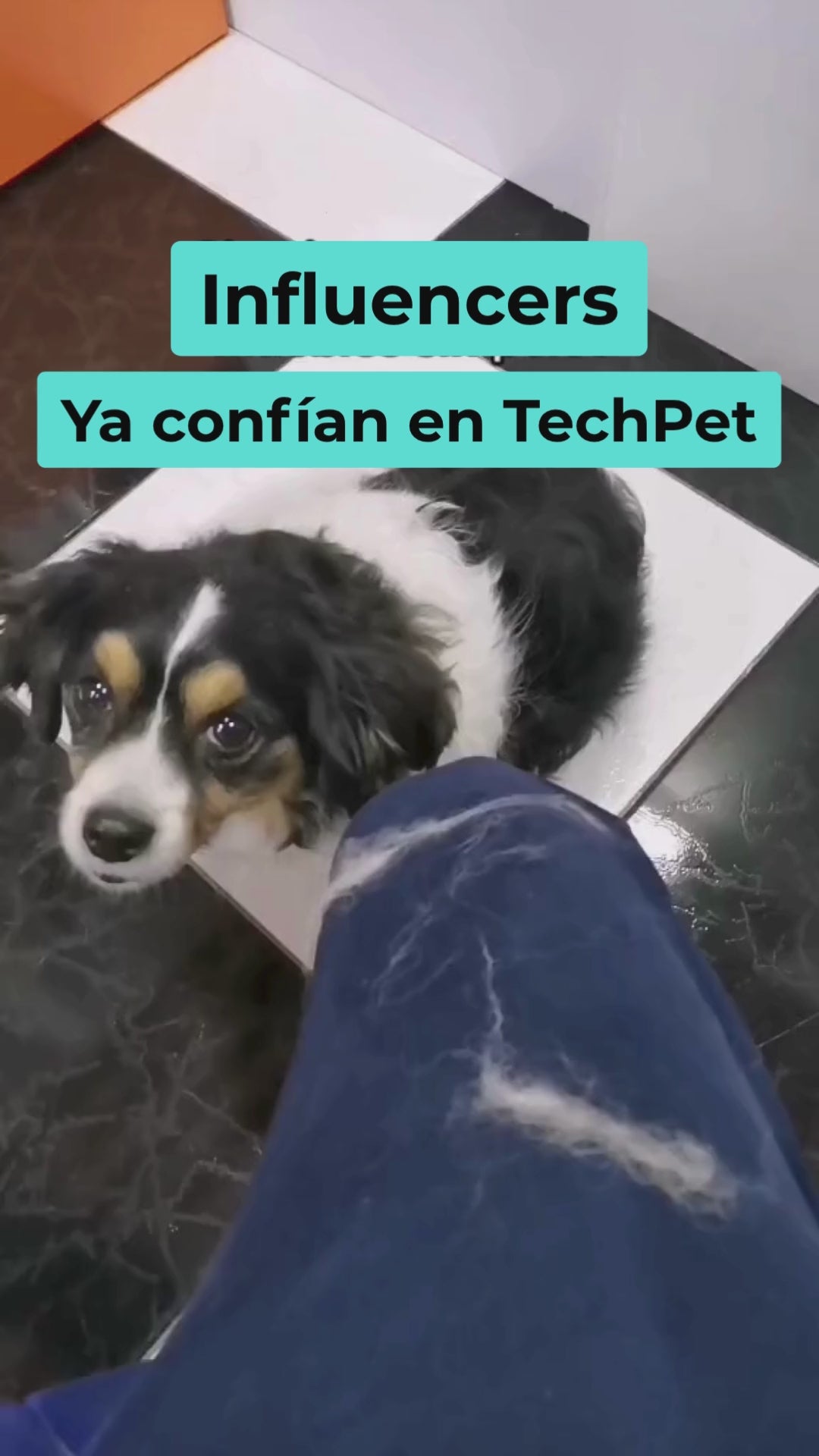 Saca Pelos para Ropa