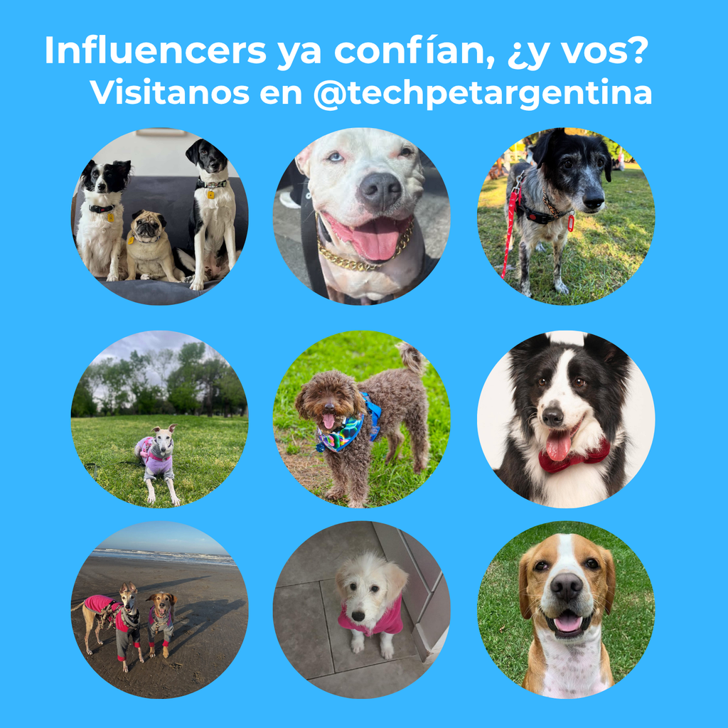 Guante Saca Pelos TechPet - 50% OFF y Envío Gratis