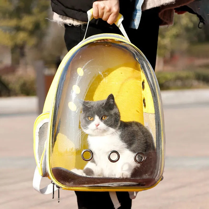Mochila Transportadora Gato Y Perro Extensible Plegable - Envío Gratis