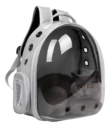 Mochila Transportadora Gato Y Perro Extensible Plegable - Envío Gratis