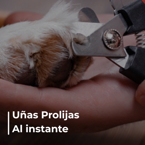 Alicate + Lima para mascotas