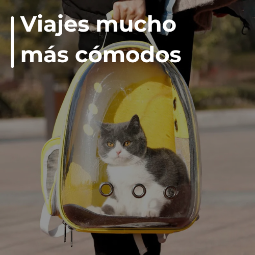 Mochila Transportadora Gato Y Perro Extensible Plegable - Envío Gratis