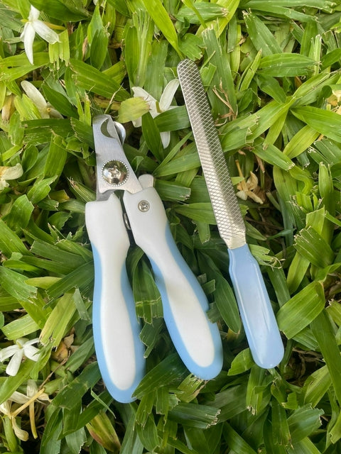 Alicate + Lima para mascotas